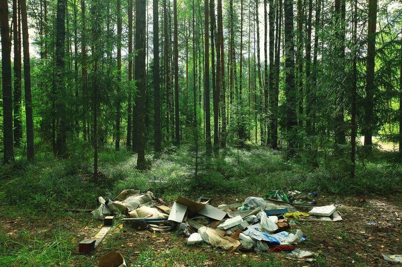 Green Living Unleashed: Making Your House Eco-Perfect