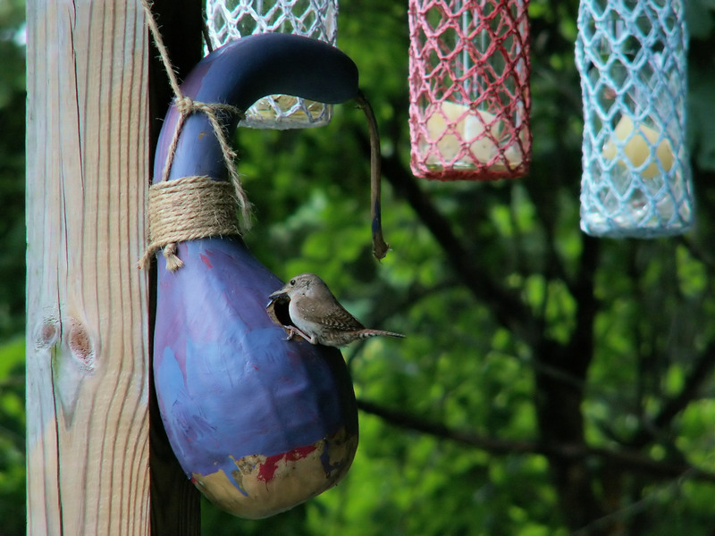 waste waste  / From waste